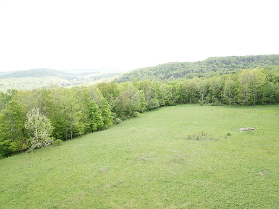 Dubois, Livingston Manor, New York image 10