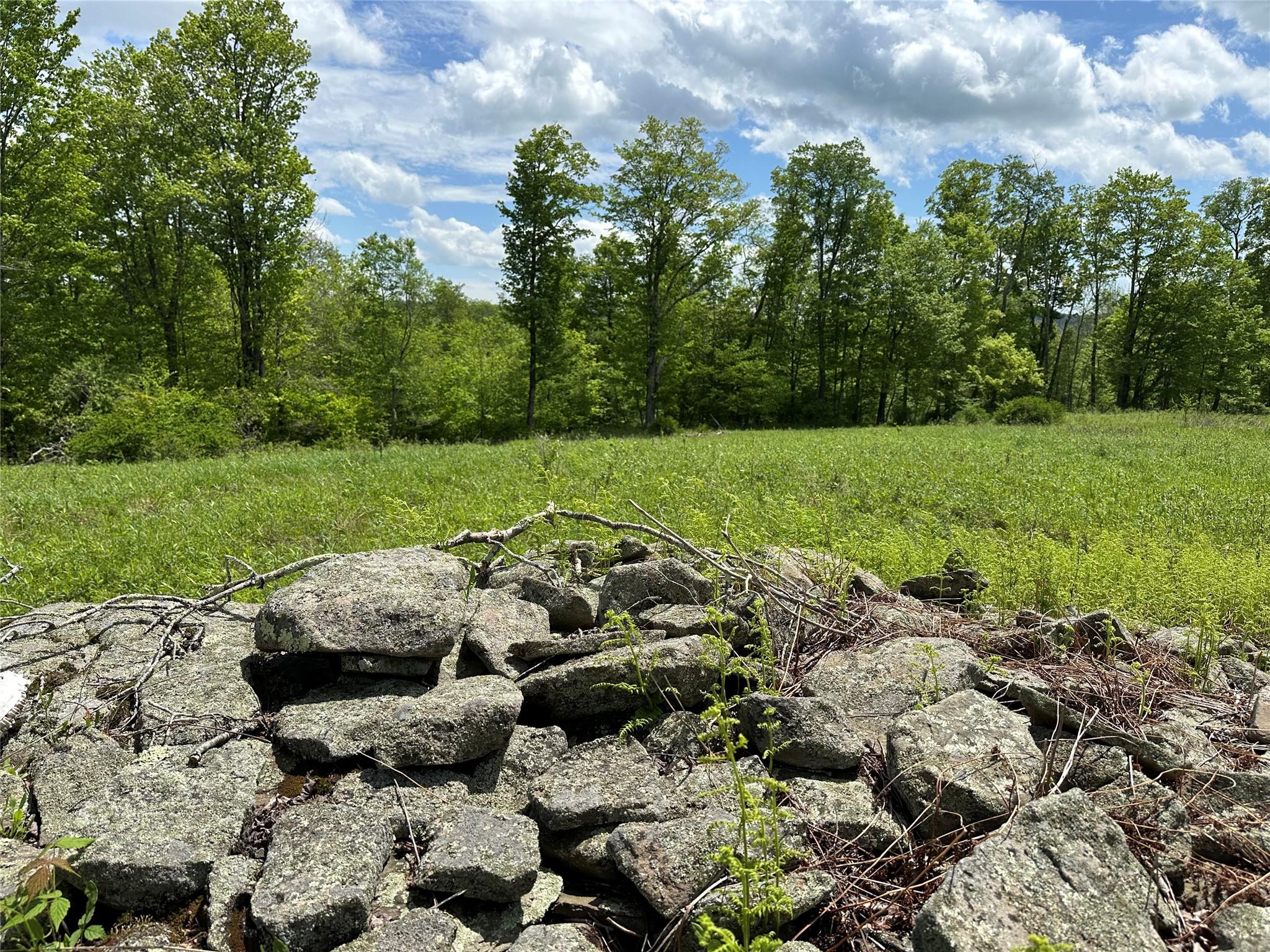 Dubois, Livingston Manor, New York image 5