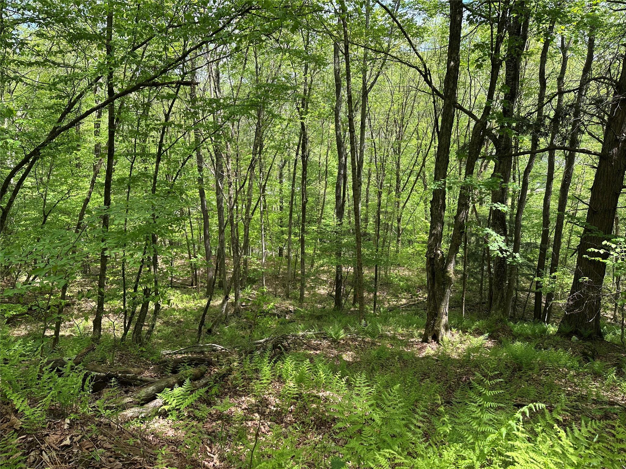 Dubois, Livingston Manor, New York image 23