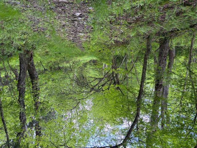 Dubois, Livingston Manor, New York image 4
