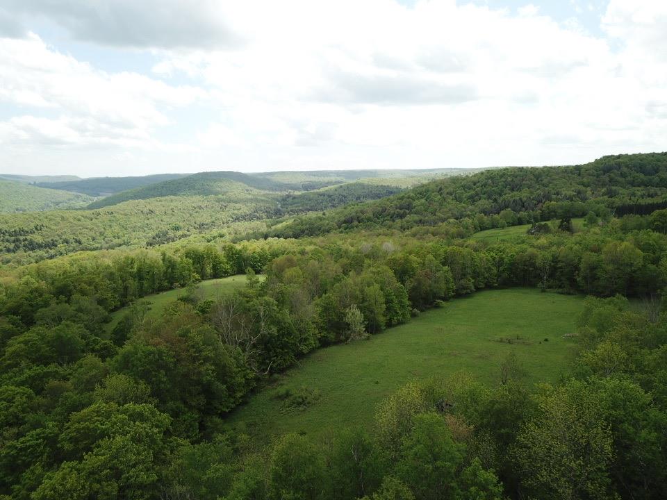 Dubois, Livingston Manor, New York image 9