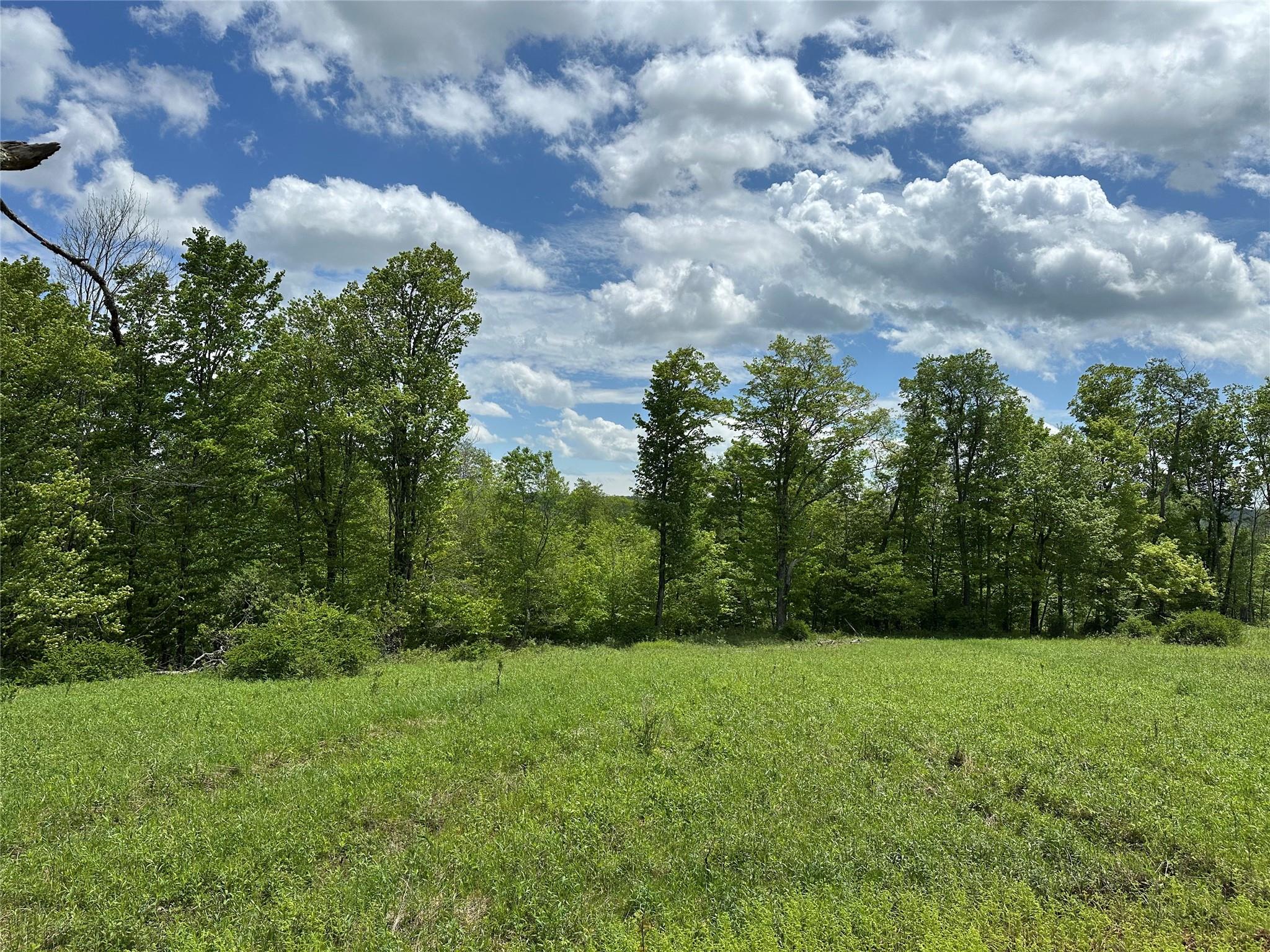 Dubois, Livingston Manor, New York image 16