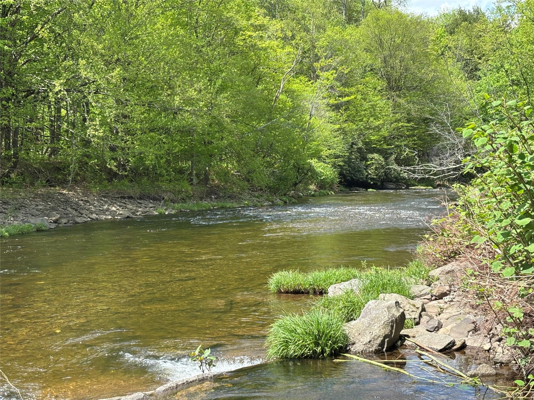 Dubois, Livingston Manor, New York image 2