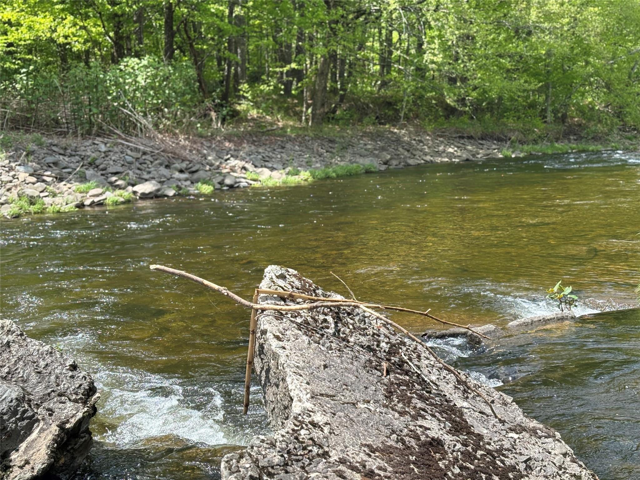 Dubois, Livingston Manor, New York image 13