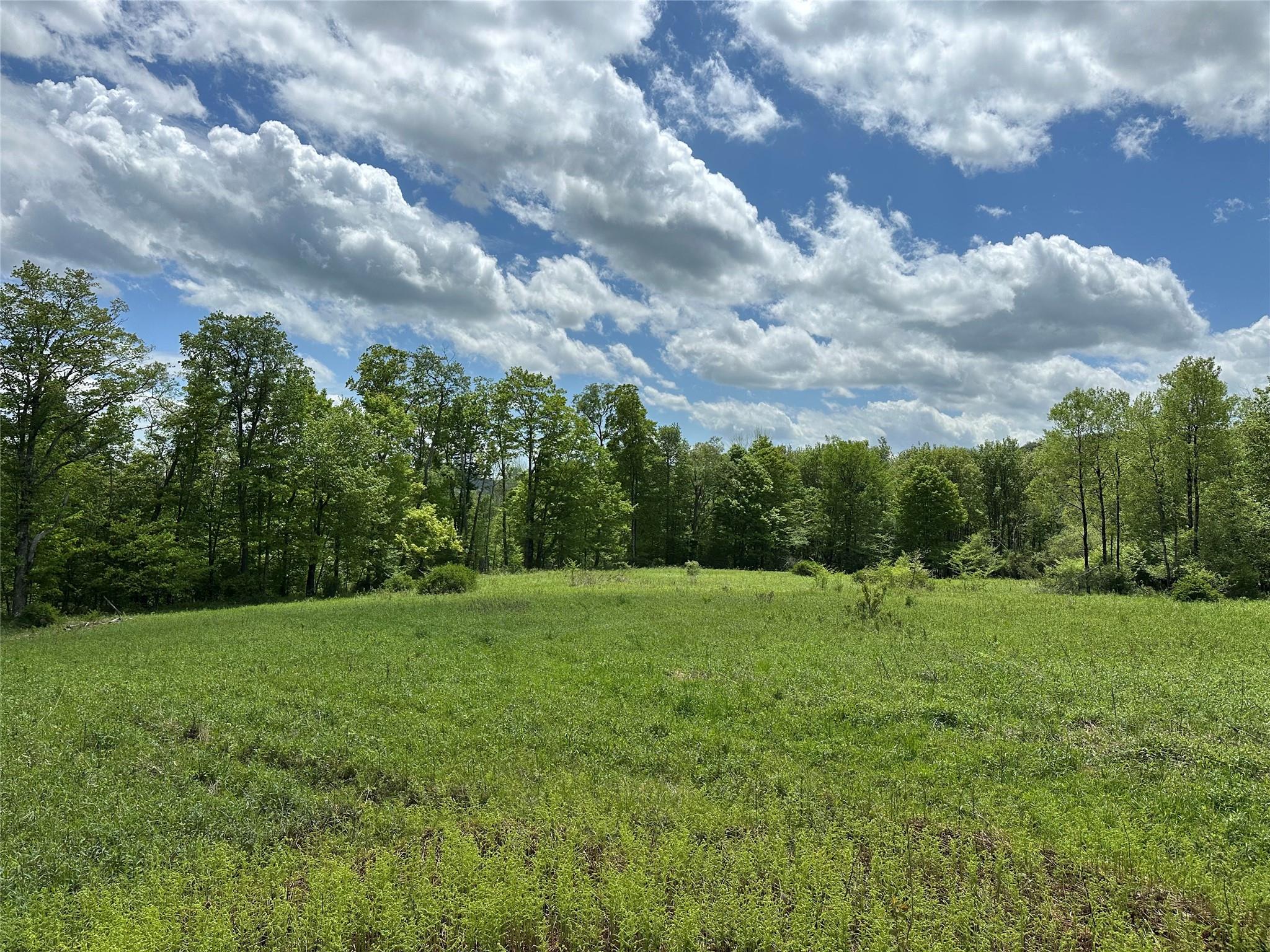 Dubois, Livingston Manor, New York image 15