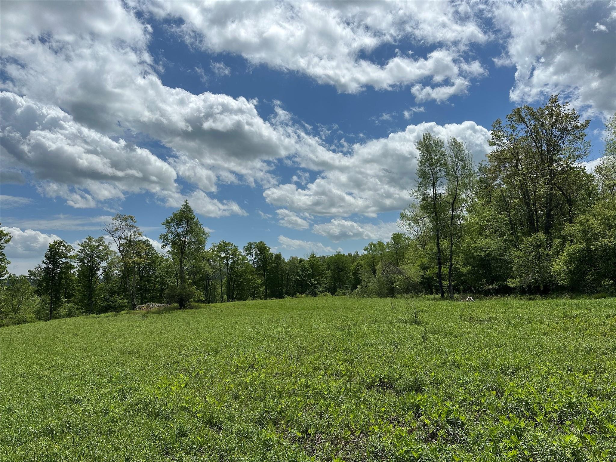 Dubois, Livingston Manor, New York image 18