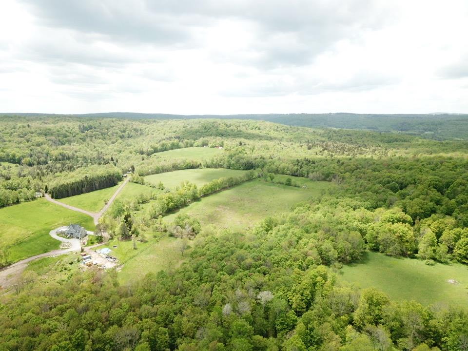 Dubois, Livingston Manor, New York image 19