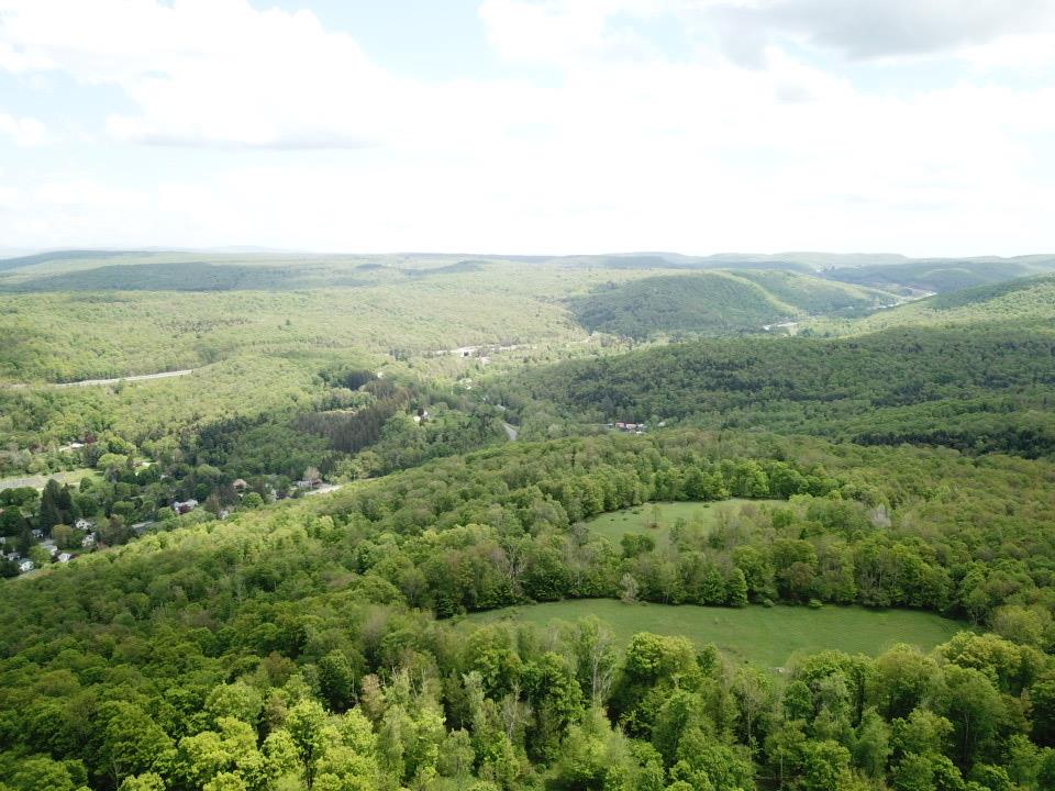 Dubois, Livingston Manor, New York image 7