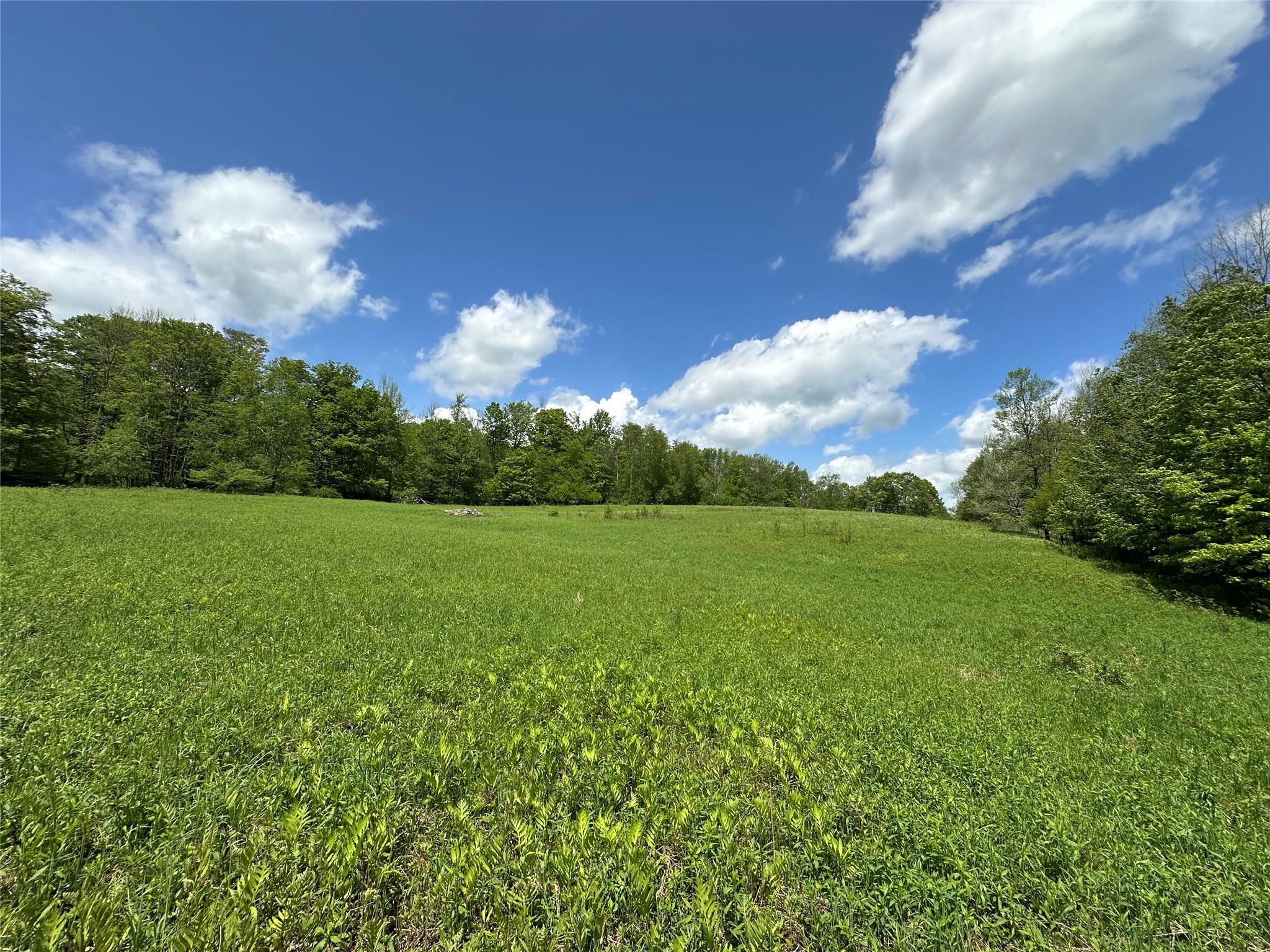 Dubois, Livingston Manor, New York image 22