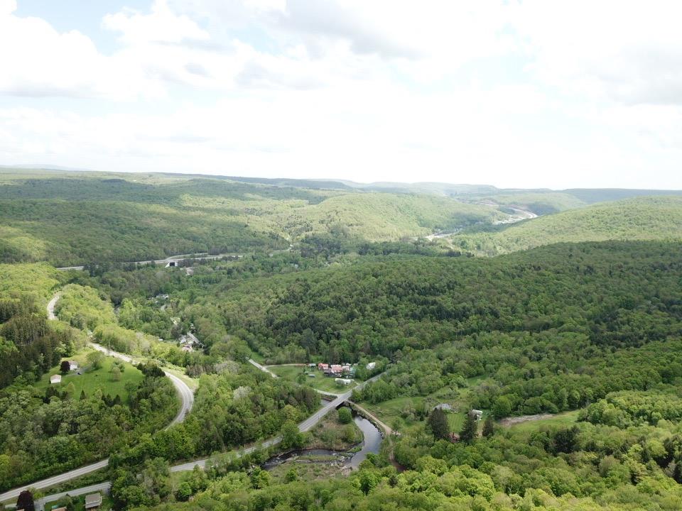 Dubois, Livingston Manor, New York image 20