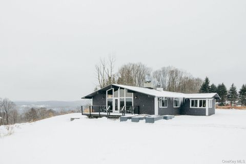 Homes For Sale - 13 N Pond Drive<br/> Parksville, NY 12768