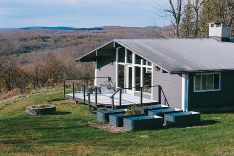 13 N Pond Drive Parksville NY 12768