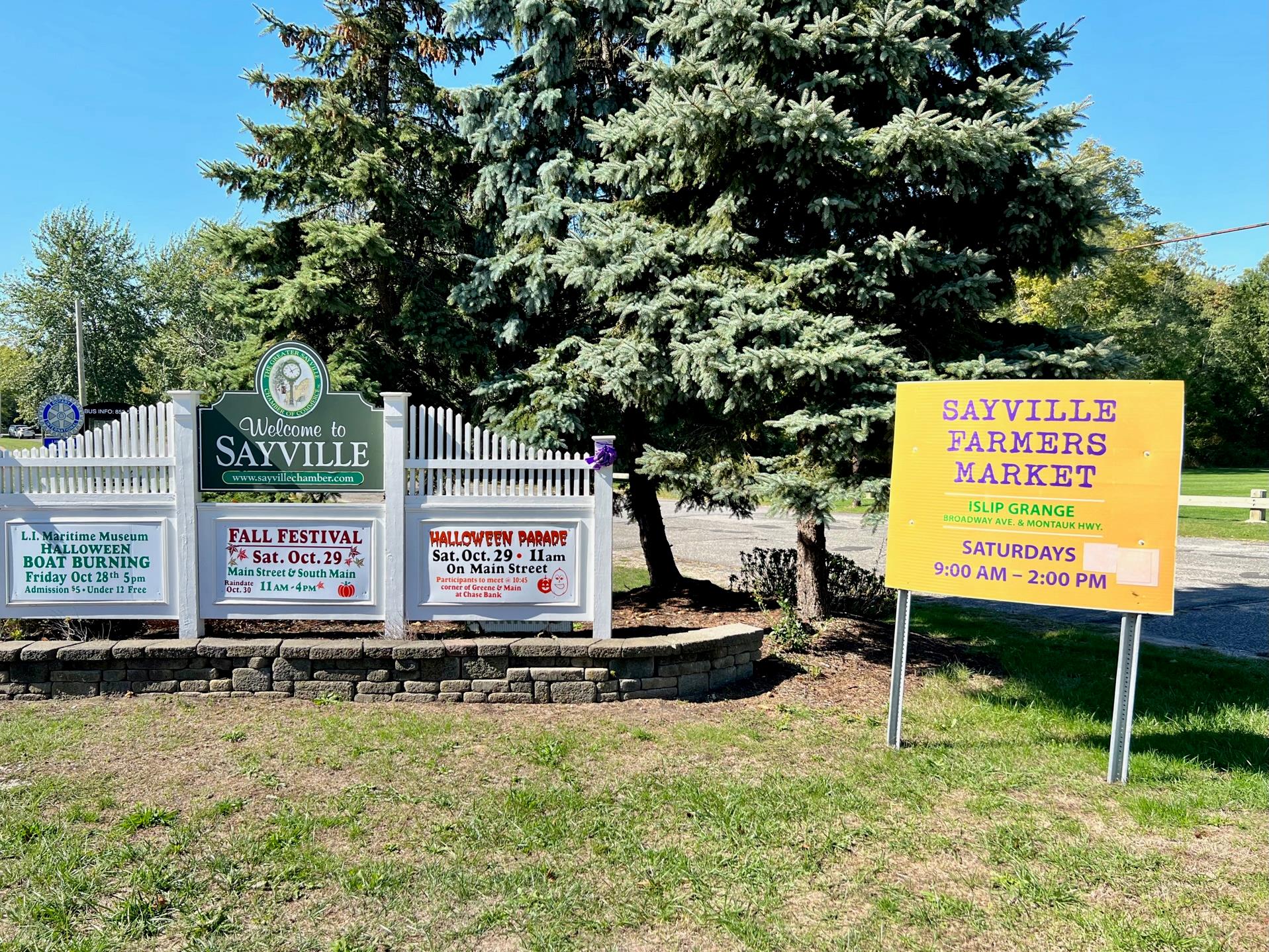 124 Handsome Avenue, Sayville, New York image 37