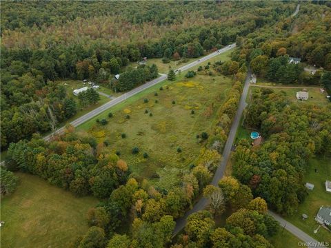 Vacant Land For Sale - TBD Route 52<br/> Wawarsing, NY 12489