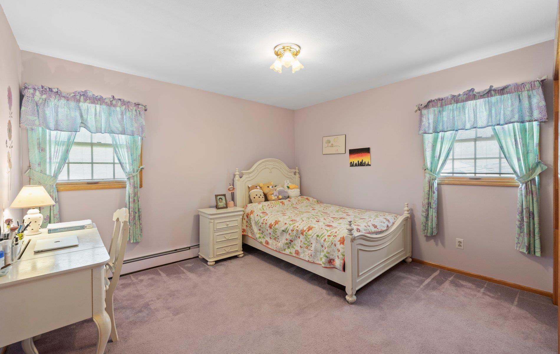 21 Felice Lane, Plainview, New York image 14
