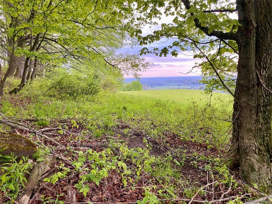ADDRESS PRIVATE, JEFFERSONVILLE, NY 12748 - Image dbd1e9e4e7c20d41b90edf8f9d853c9c/172303545