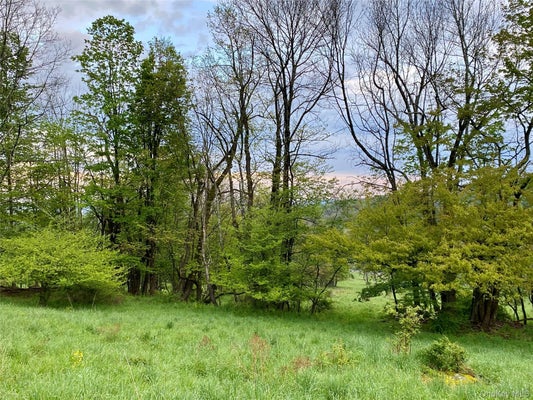 ADDRESS PRIVATE, JEFFERSONVILLE, NY 12748 - Image dbd1e9e4e7c20d41b90edf8f9d853c9c/3112608144
