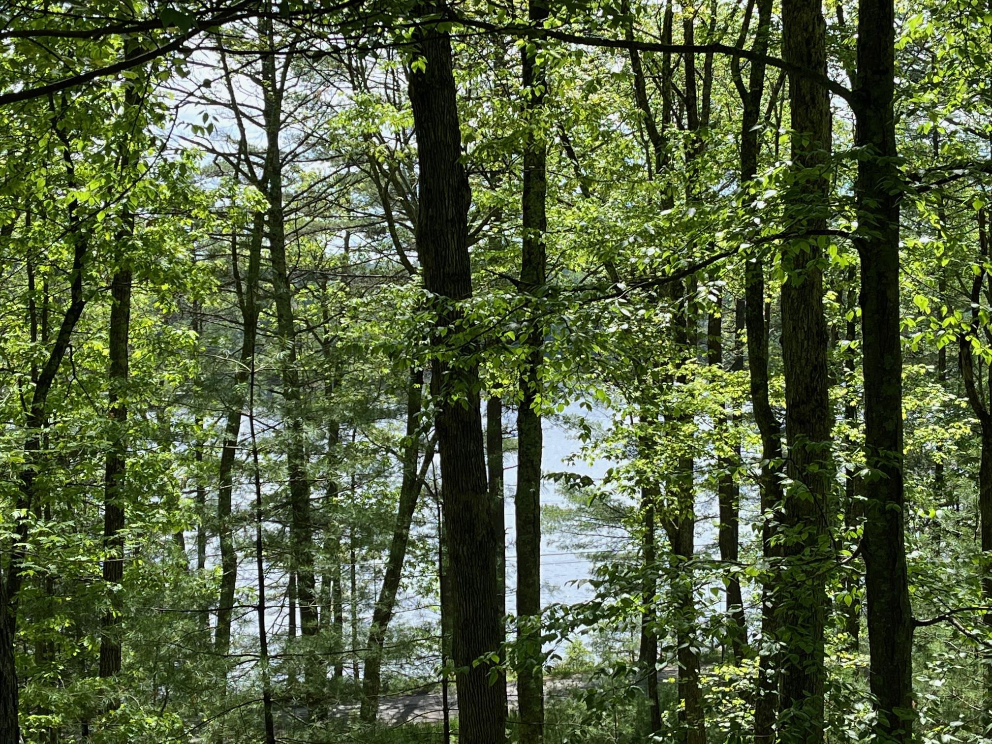 161 Barker Road, Glen Spey, New York image 3