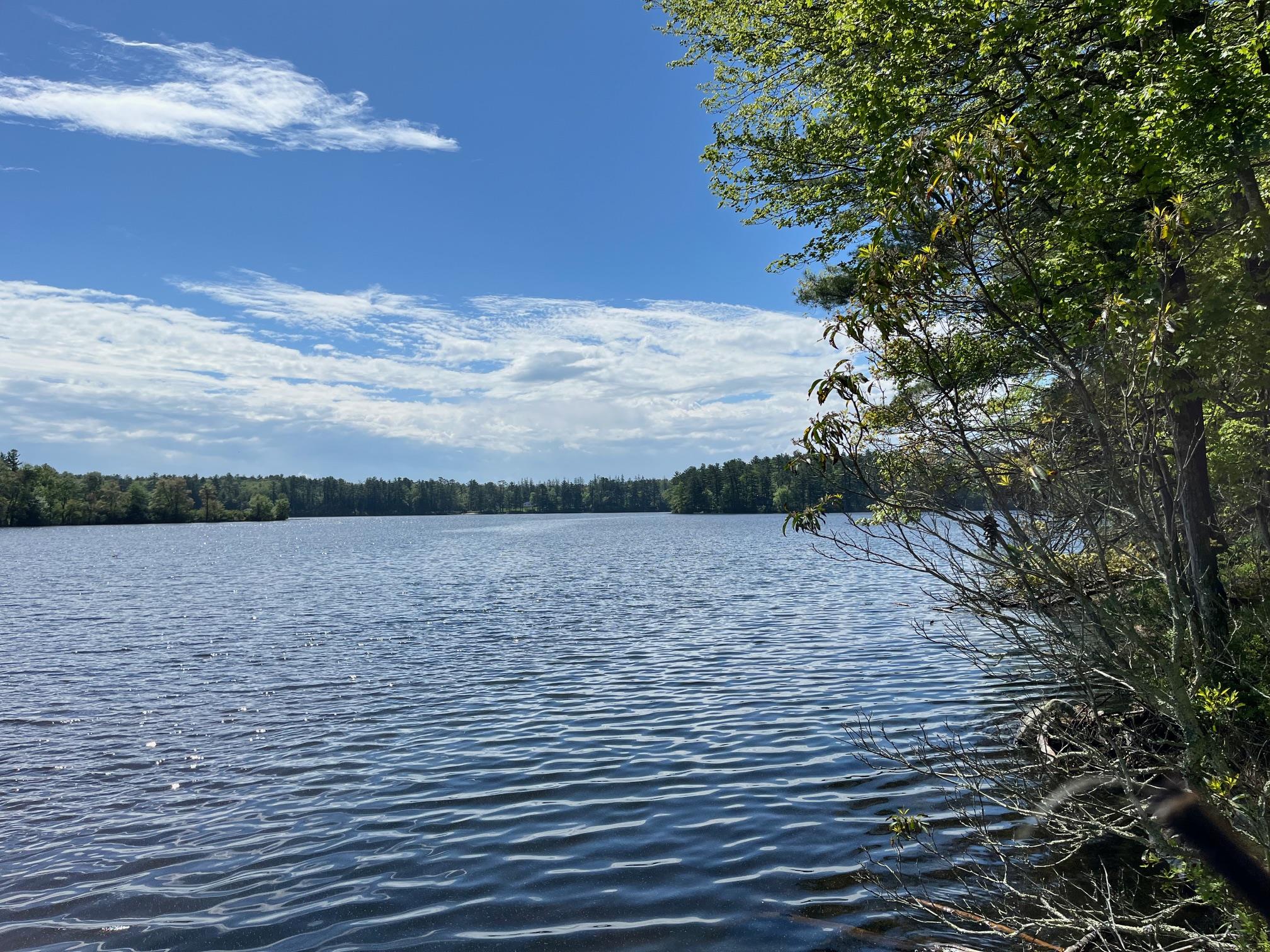 161 Barker Road, Glen Spey, New York image 39