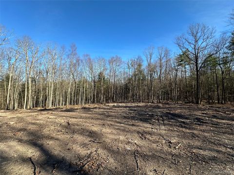 Lot 1.6 Foster (South) Trail Narrowsburg NY 12764