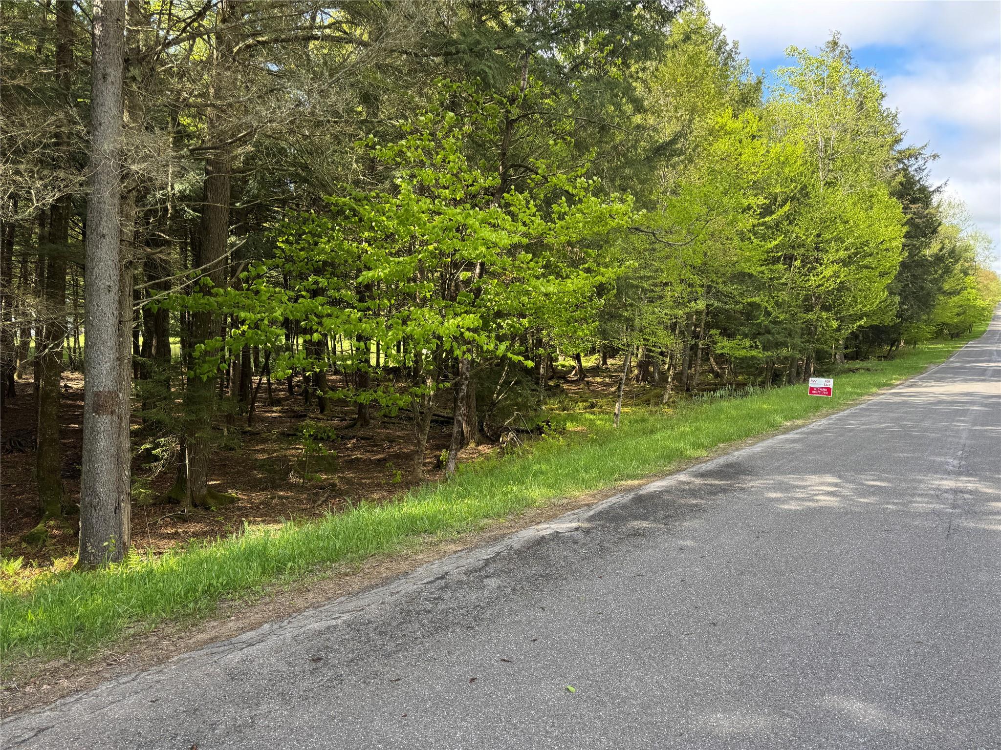 128 Forest Drive, Livingston Manor, New York image 38