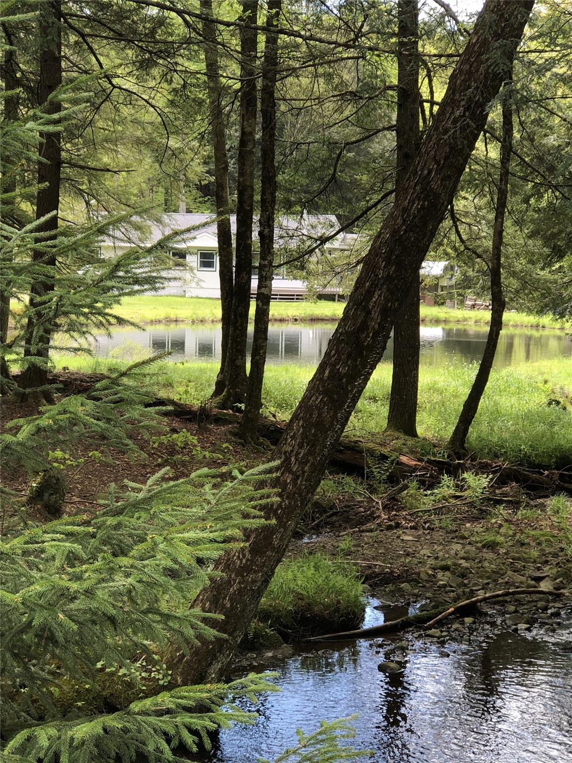 128 Forest Drive, Livingston Manor, New York image 32