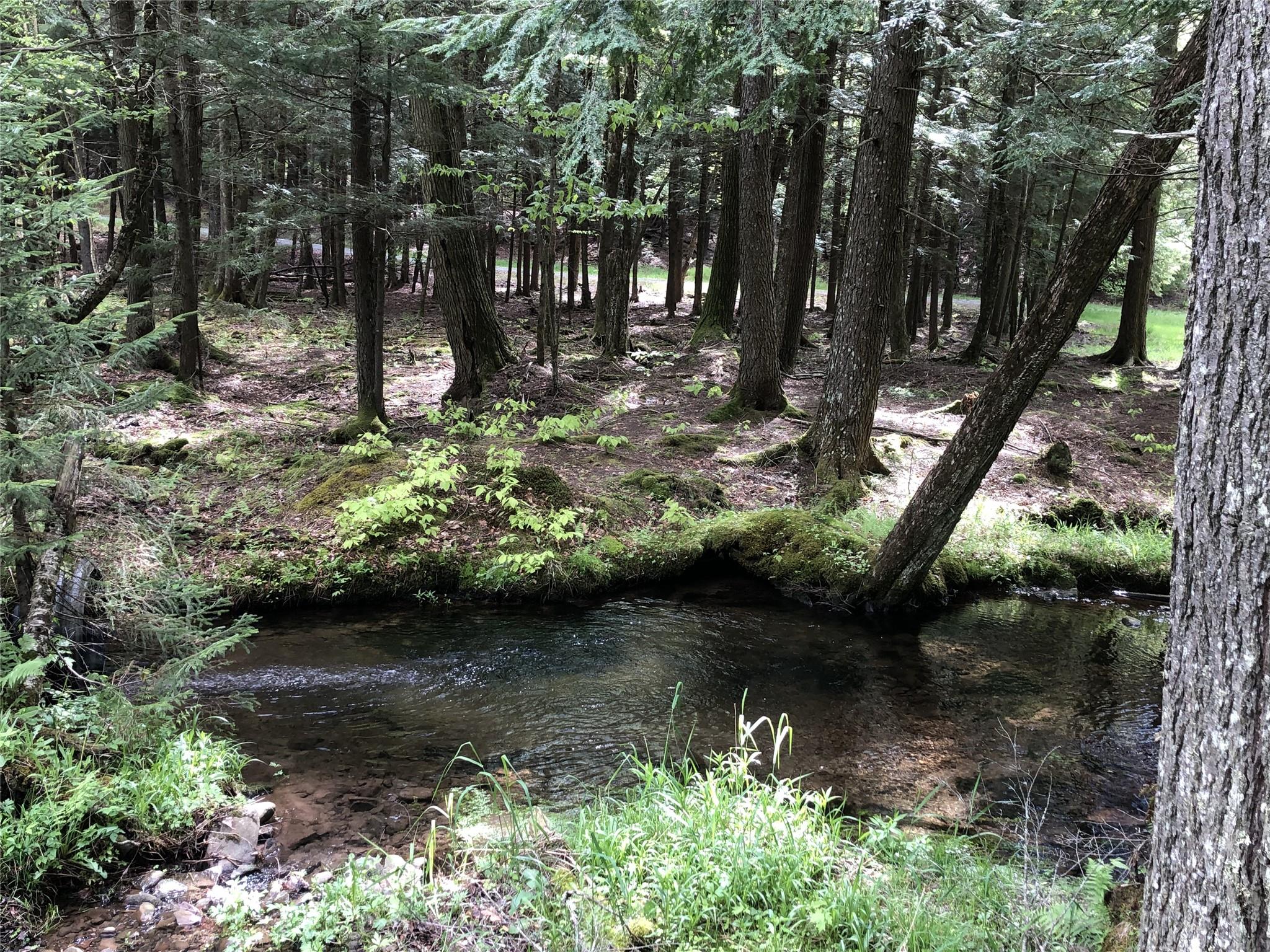 128 Forest Drive, Livingston Manor, New York image 31