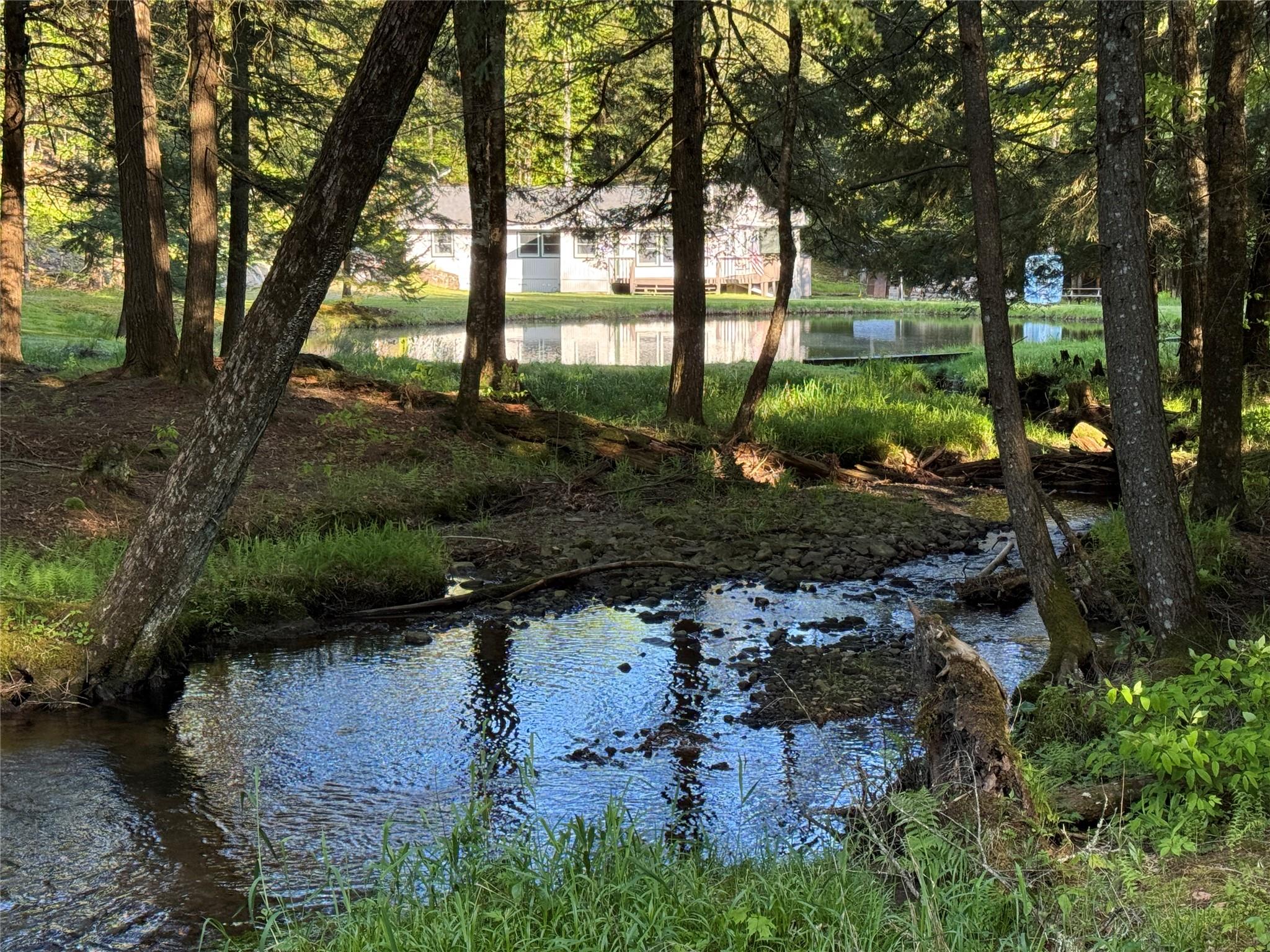 128 Forest Drive, Livingston Manor, New York image 2