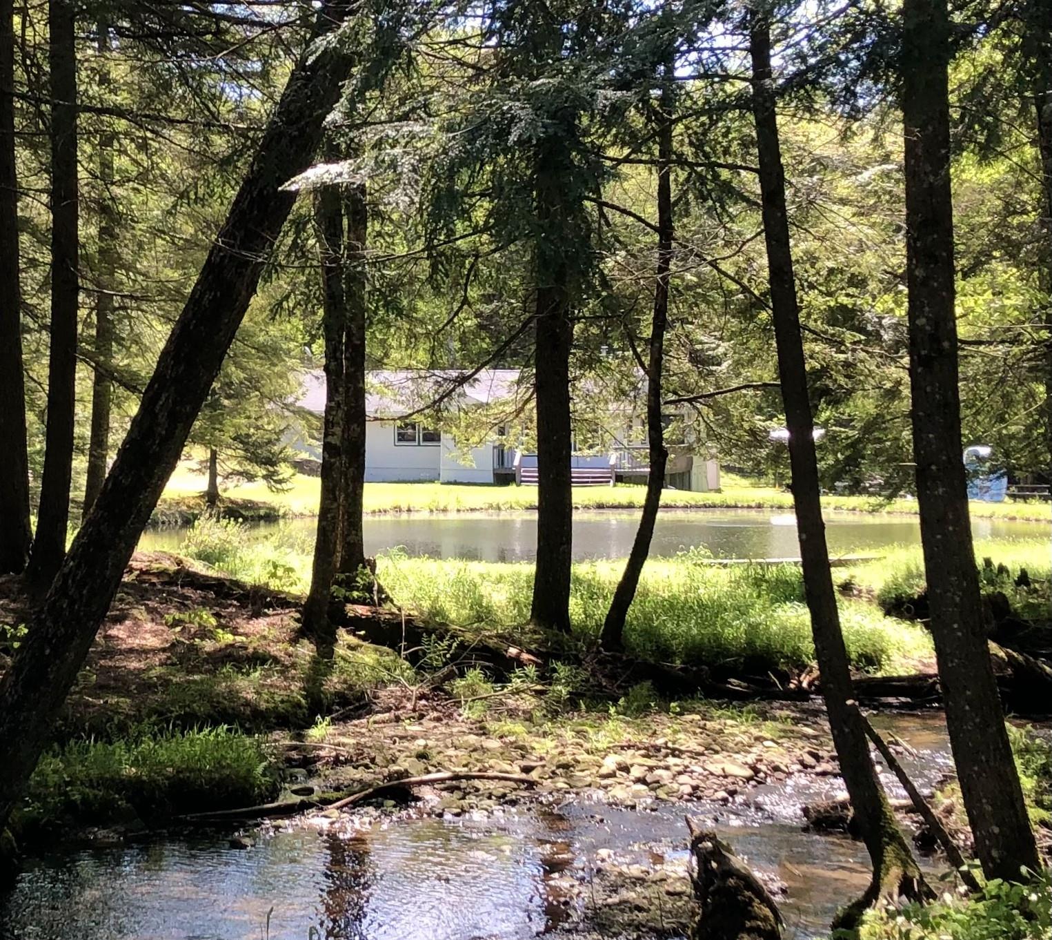 128 Forest Drive, Livingston Manor, New York image 33