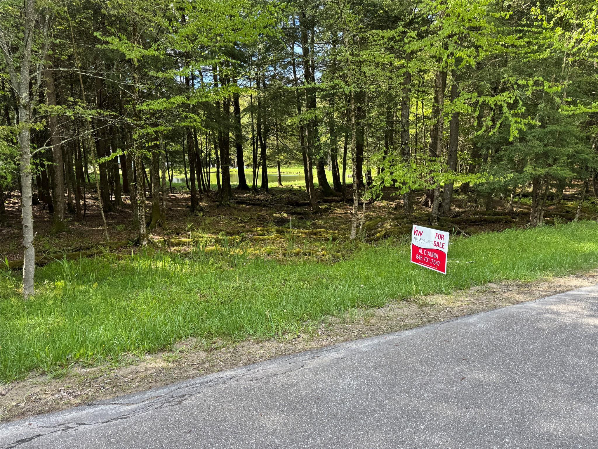 128 Forest Drive, Livingston Manor, New York image 37