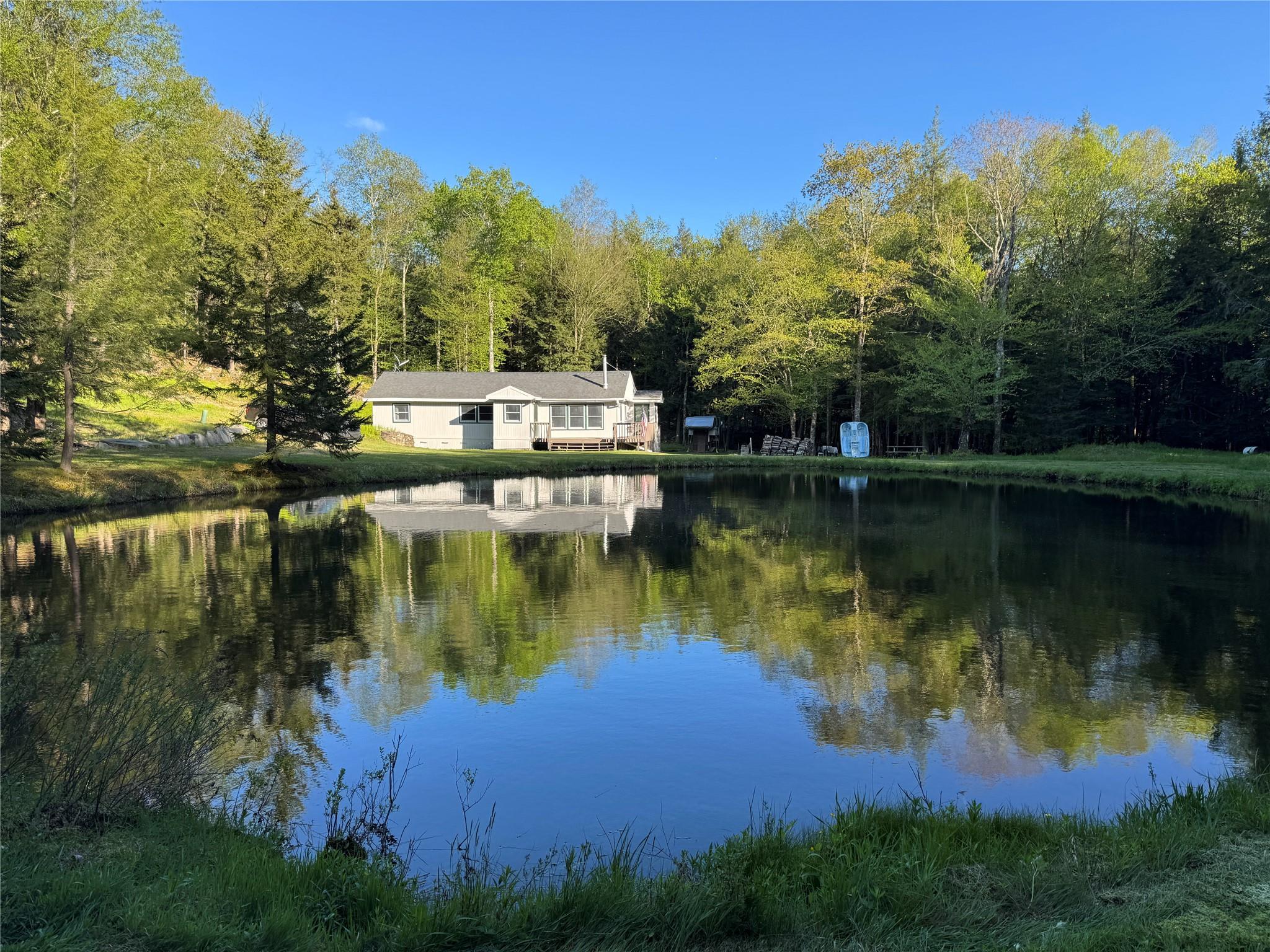 128 Forest Drive, Livingston Manor, New York image 1
