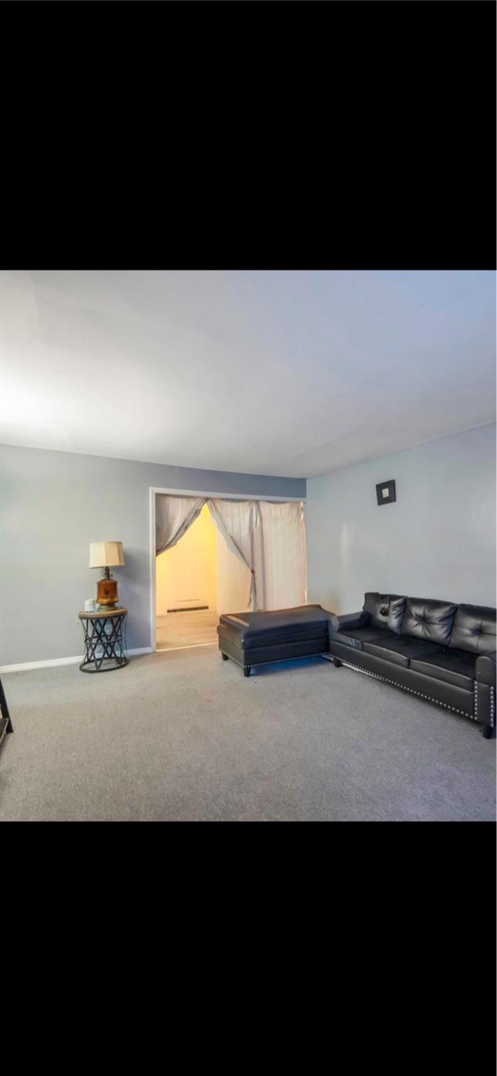 201 Benson Avenue, Elmont, New York image 5