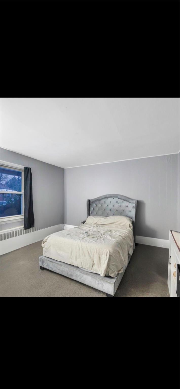 201 Benson Avenue, Elmont, New York image 12