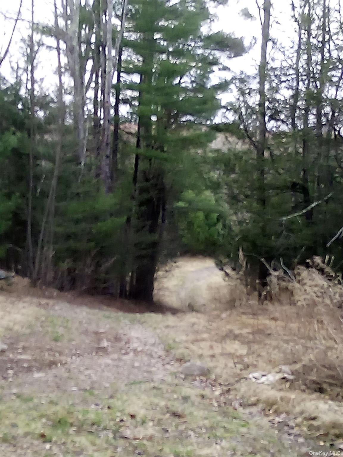 gibber Road