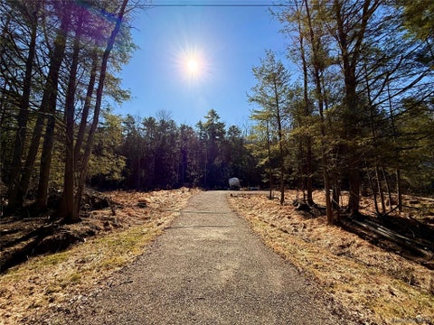 Vacant Land For Sale - Park Lane<br/> Yulan, NY 12792