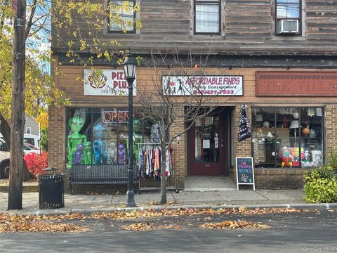 65 Main Street Pine Bush NY 12566