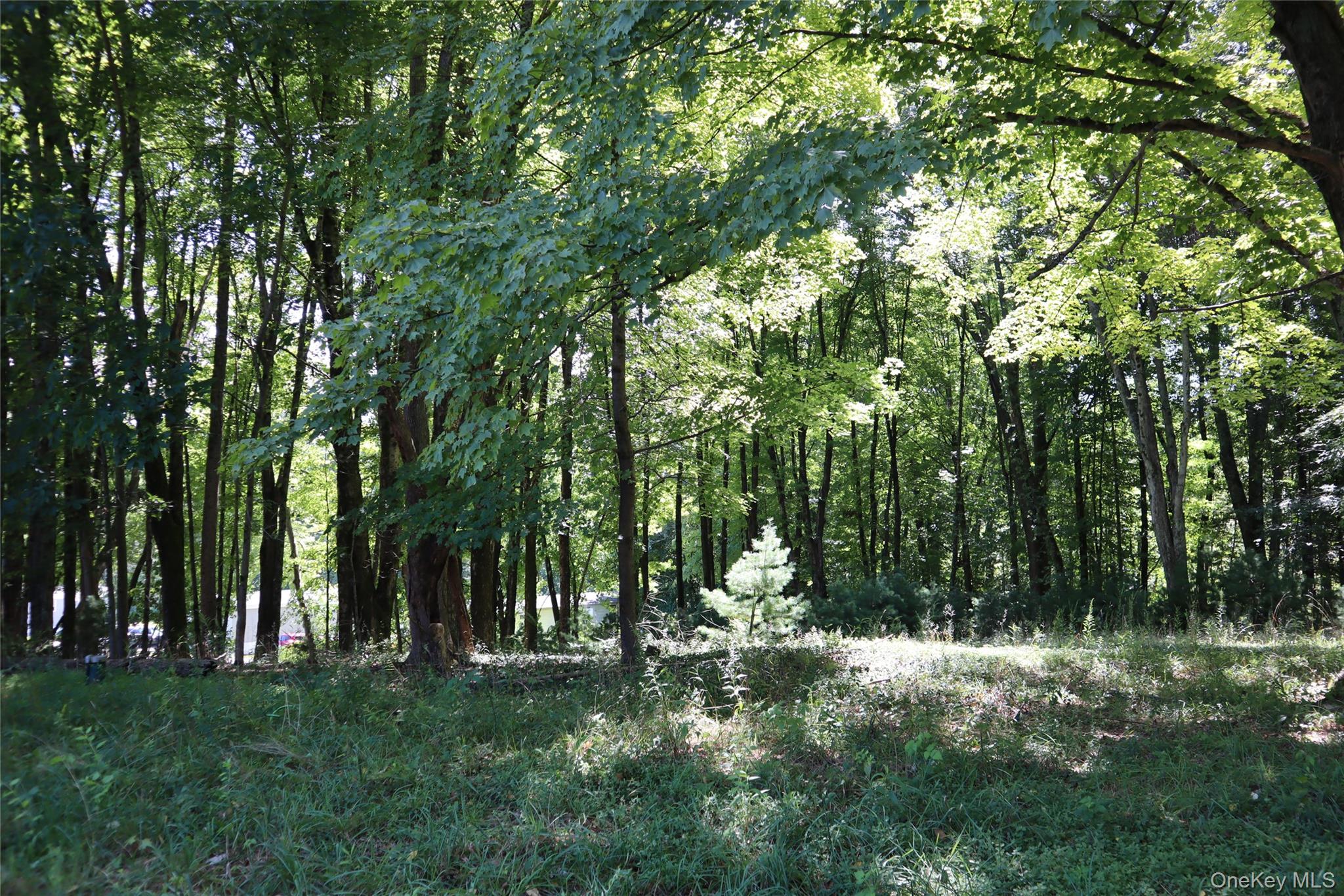 Peeble Lane