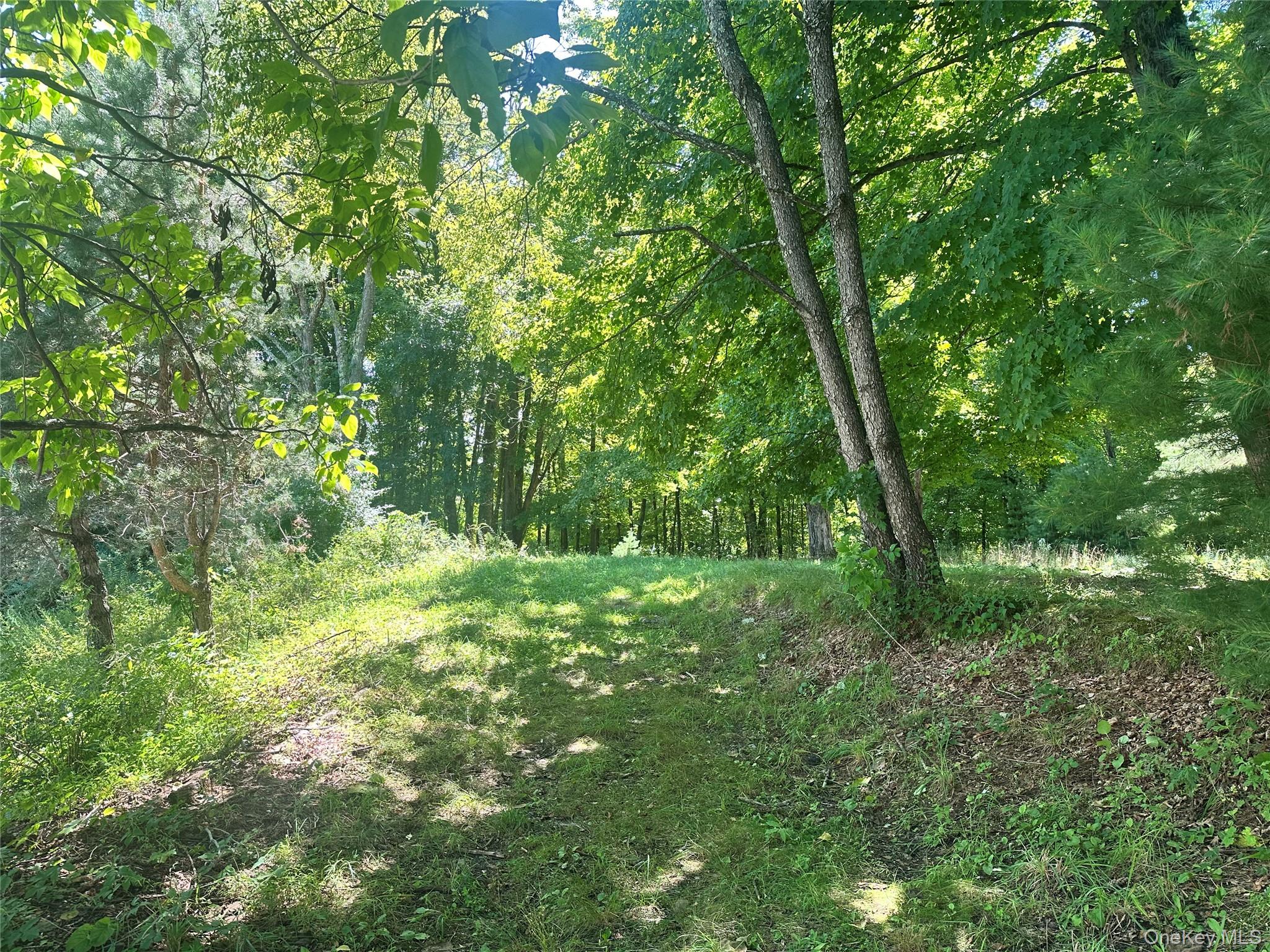 Peeble Lane
