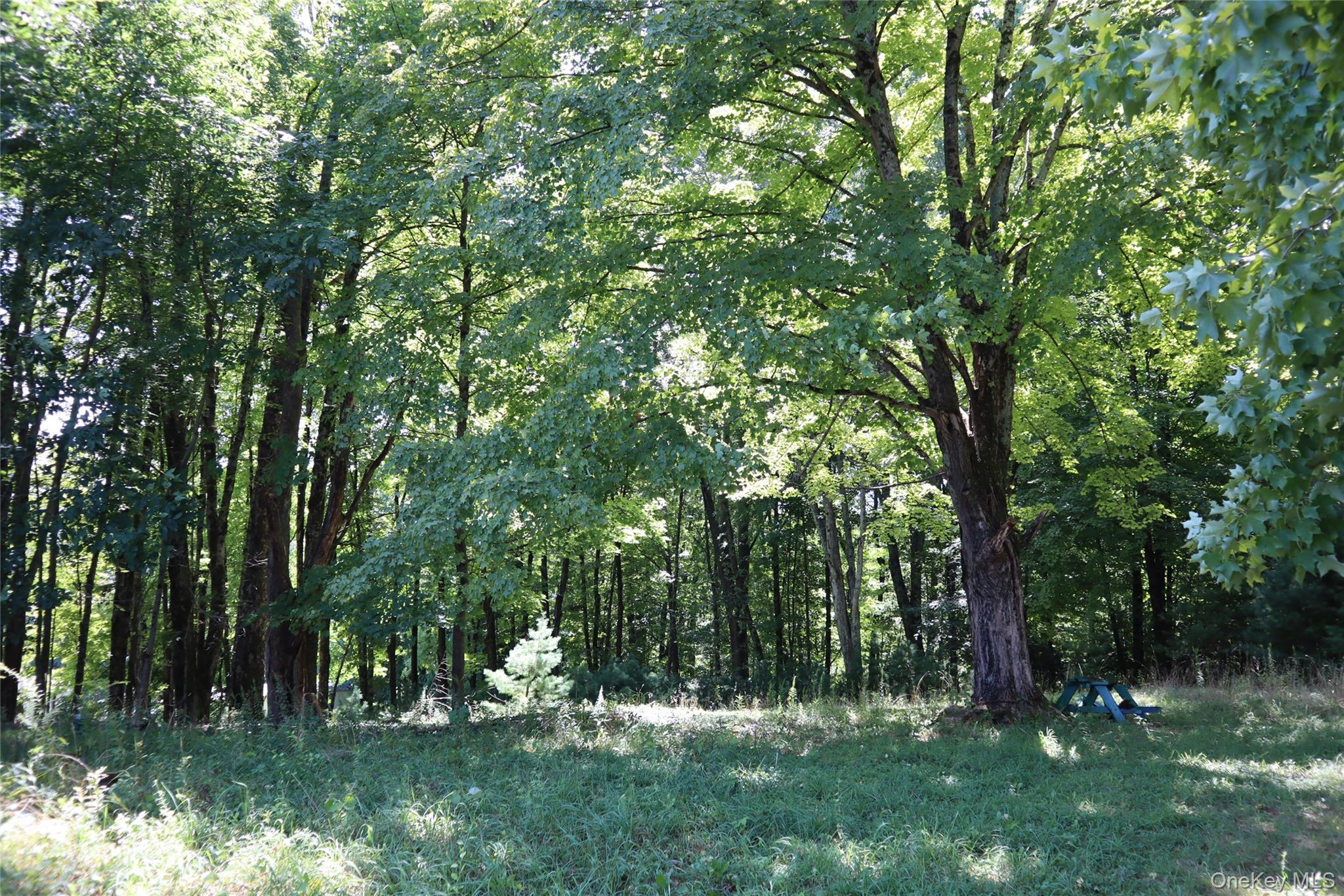 Peeble Lane