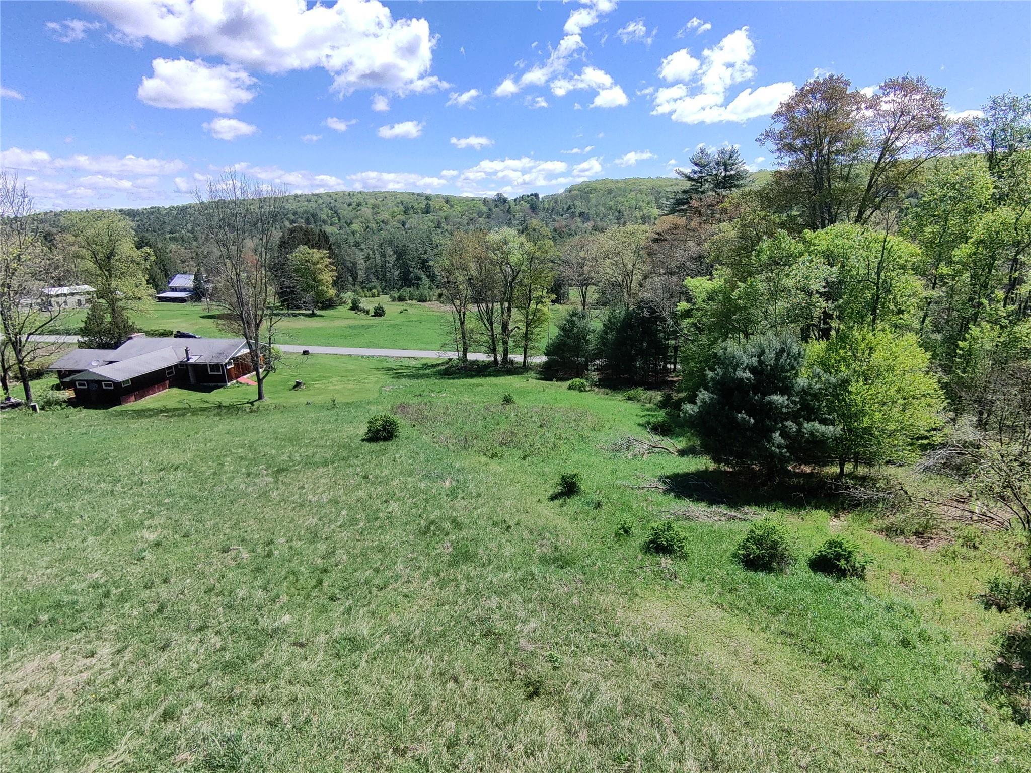 41 Brook Road, Cochecton, New York image 9