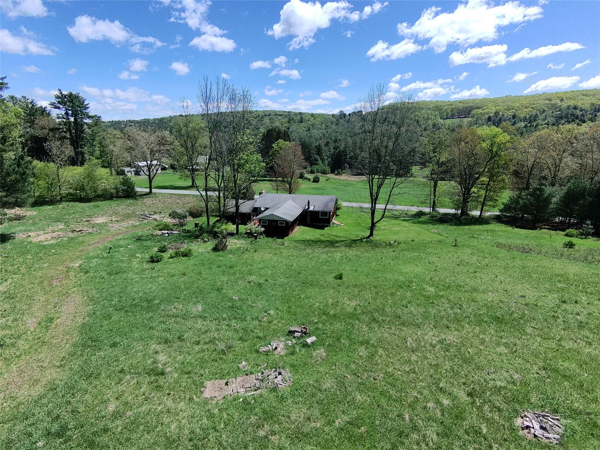 41 Brook Road, Cochecton, New York image 7