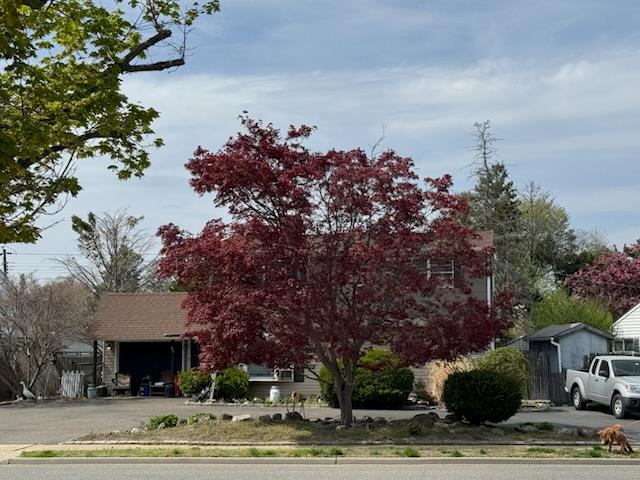 82 Scooter Lane, Hicksville, New York image 5