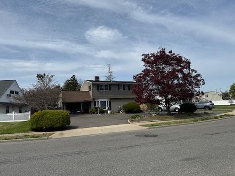 82 Scooter Lane Hicksville NY 11801