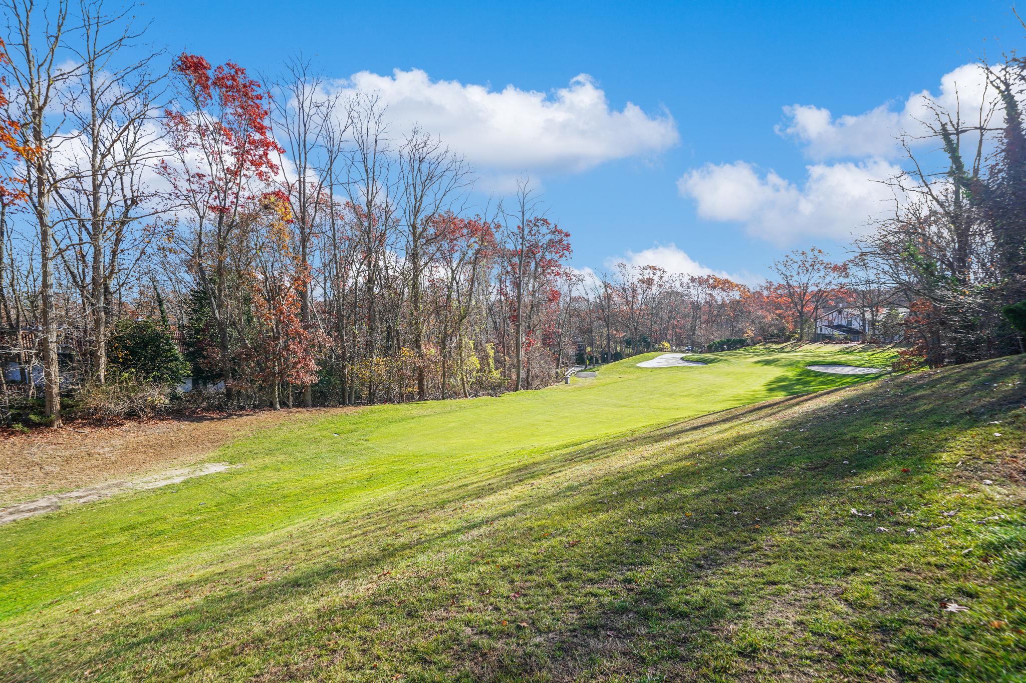 178 Skyline Drive, Coram, New York image 15