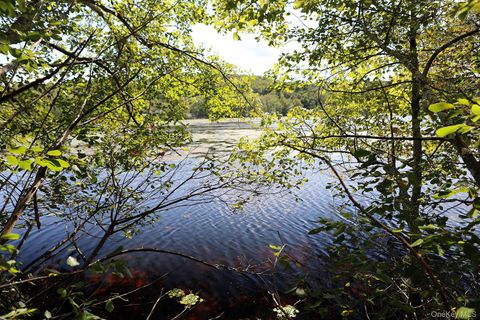 Vacant Land For Sale - TBD George Segar Road<br/> Swan Lake, NY 12783