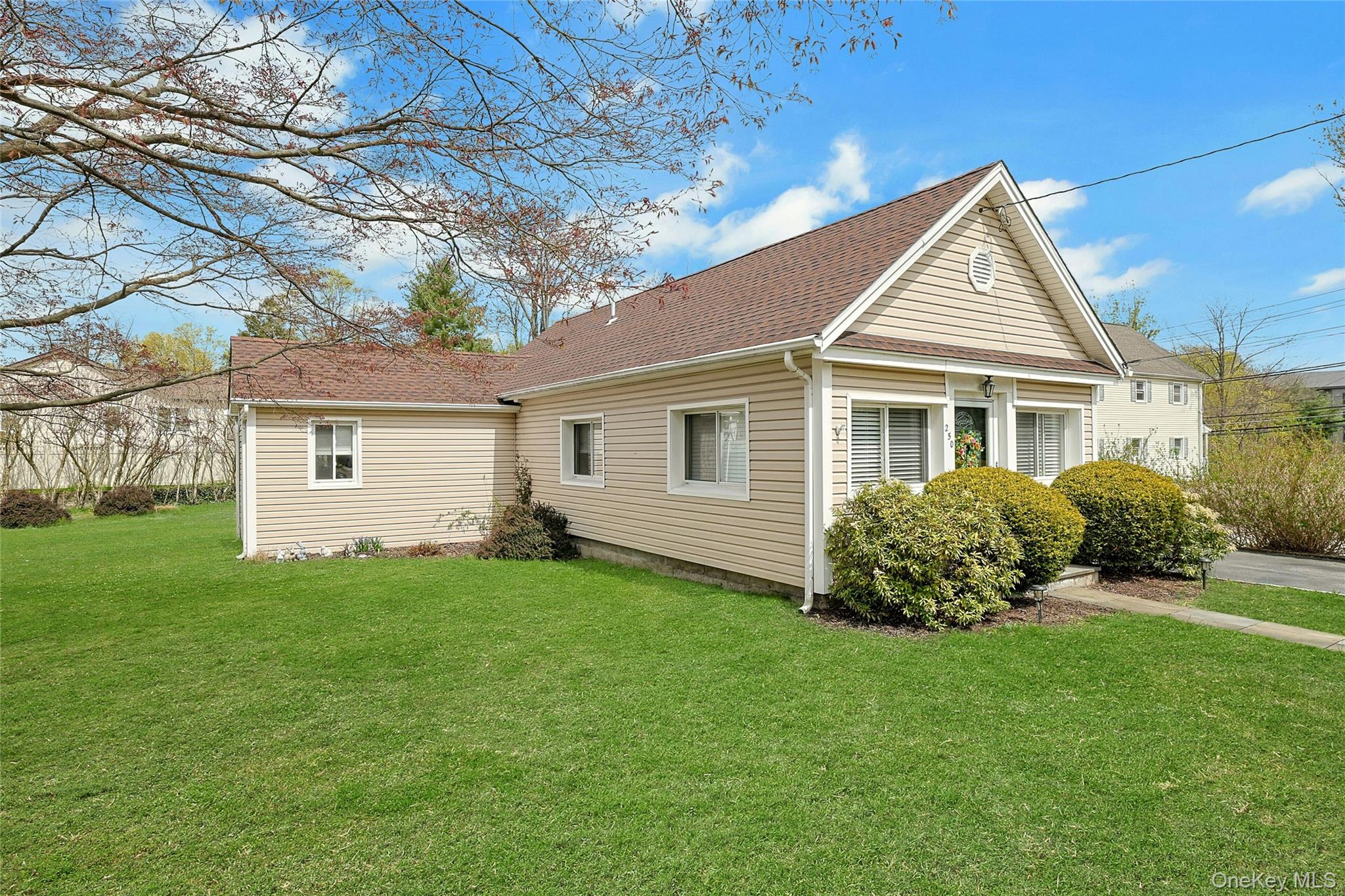 250 Catherine Street