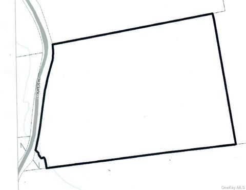 124 Cooper Millerton NY 12546