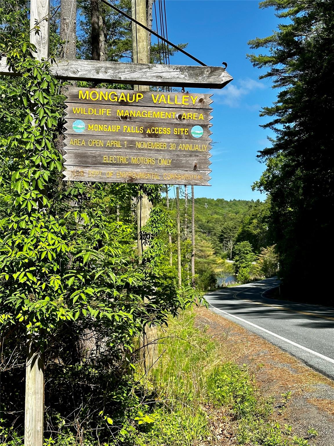 63 Ogden Road, Glen Spey, New York image 35