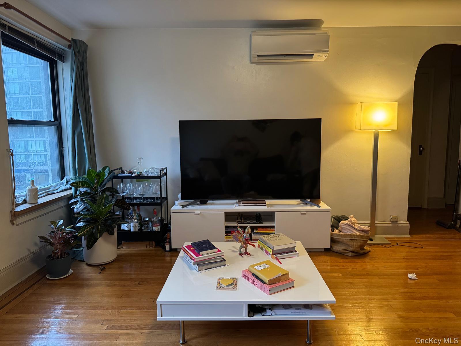 240 E 24th Street 3F