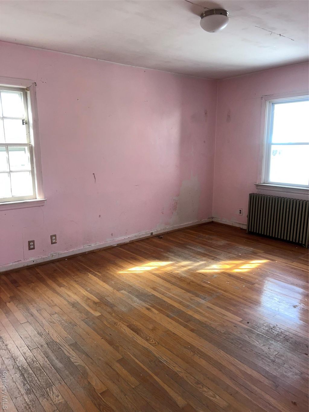 Photo of 1132 Norbay Street, Franklin Square, NY 11010 (MLS # 965728)